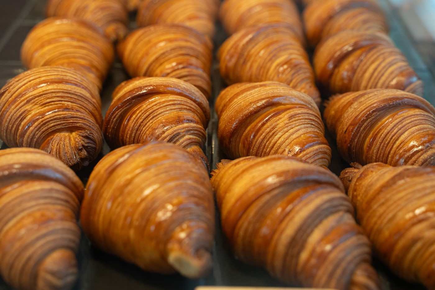 Hilera de croissants recién horneados, dorados y alineados en la vitrina de la panadería.